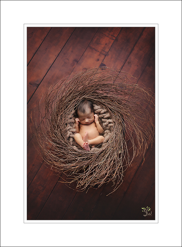 Puyallup newborn photography